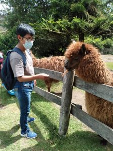 241019393_4237870926308957_1437228111610111491_n