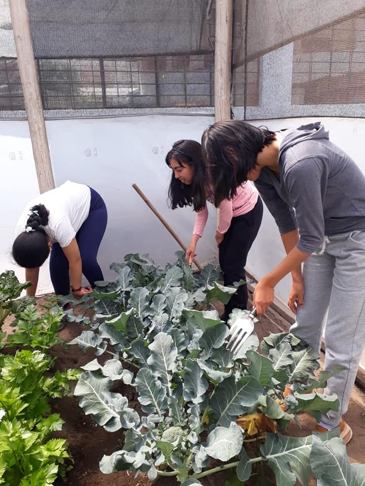 49431894_1981339165295489_1278918231410606080_n