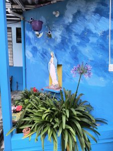 IMG_20240619_064015570_HDR
